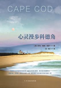 属蛇适合什么色