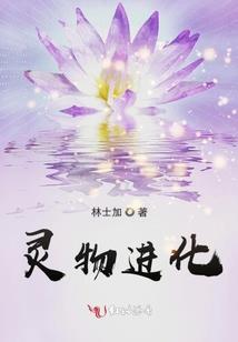 属鸡的化身视频