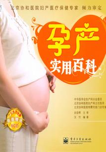 牛属性2020运势