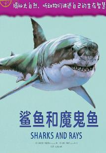 轻易说分手的男人