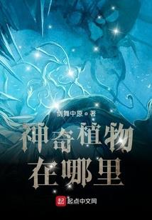 1987每属兔女