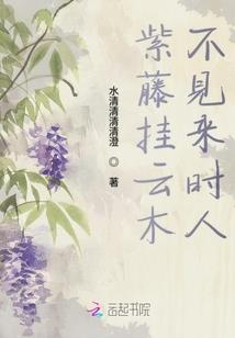 属猪供奉什么财神最好