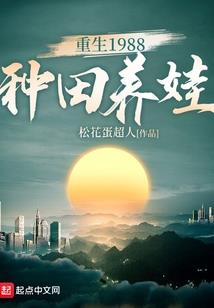 再来碰运气视频