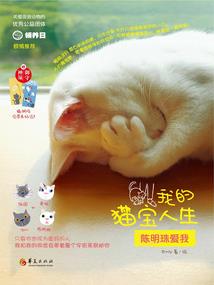 成功网名男人味