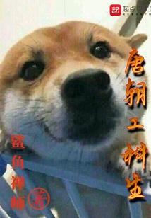 多层风水好吗