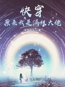 属马属兔属羊属狗