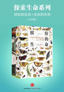 范冰冰八字被借运气