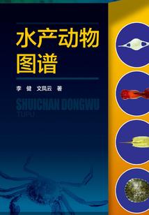 属马拓马去动物园