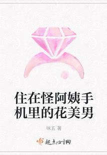 辛酉丁酉戊申壬子八字