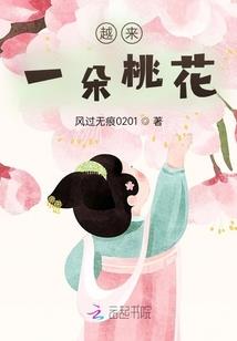 12属相女上衣