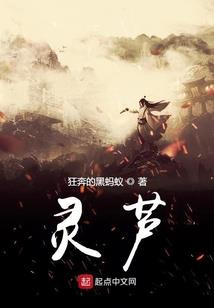 西游记人物代表五行属性