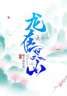 属狗的人今年41岁