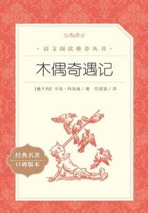 属虎的女本命年带什么好