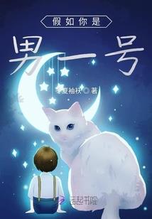 一生运程走势图解视频下载免费