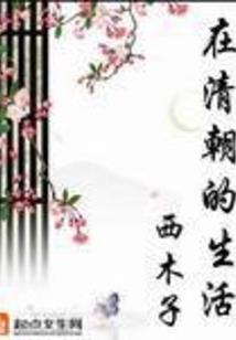 今年属鼠的人的运程