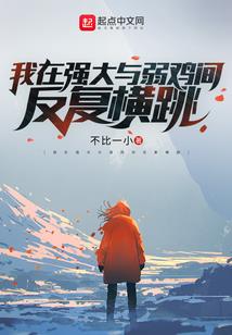 属猪的车里放什么