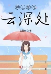 王者皮肤信息栏含义大全