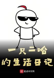 属猪住房子