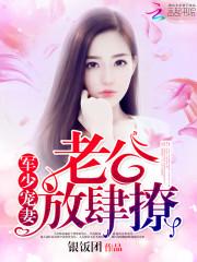 主星廉贞财运