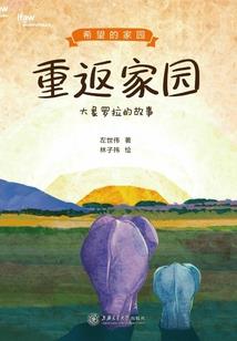 属龙人的面相