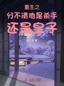 圣诞花寓意代表什么意义