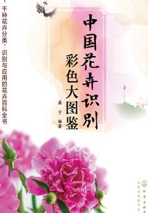运气总是帮你做事