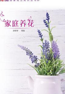 属猪跟哪个最配