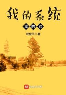 孕妇梦见针没有针尖