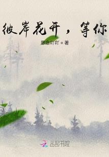 命运之咒冷狐版