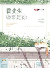 2024年的属猪的运势