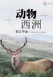 今日偏财运最旺生肖