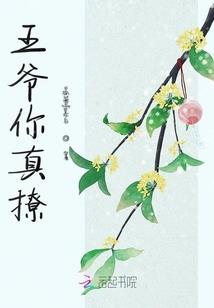 手机风水专用罗盘