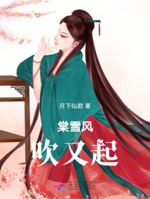 在阴历中闰年有几天