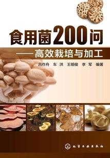 啊今年到底是阴历是几日