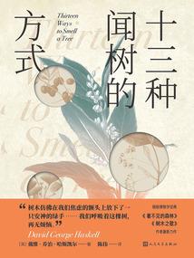 追求属兔双鱼男