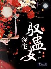 生肖马的成功案例视频