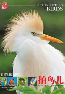 海南西瓜上市月份