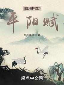 鸡命运图解