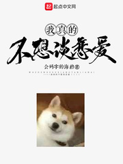 属兔生个什么属的好