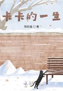 濮阳历山路移动公司