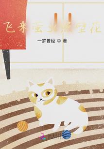 中年男人外貌描写