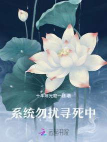 铁炉神风水
