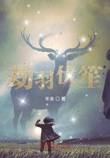 五行看职业