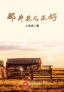 今年属马破太岁