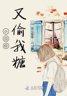 属马的猪年结婚