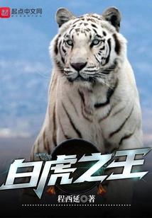 换算一一下农历