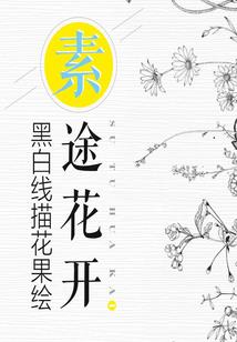 老黄历26号