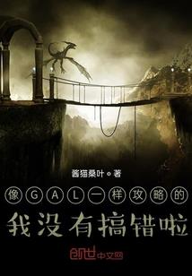 双子座2017年感情运势