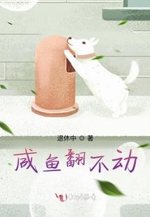 看看阴历十九