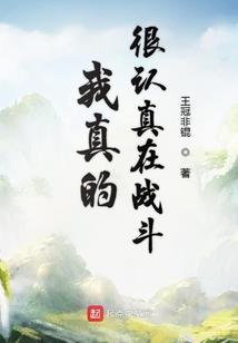 属猪的人纹狮子
